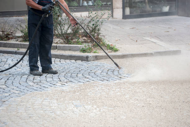 Best Window and Screen Pressure Cleaning in Mcqueeney, TX