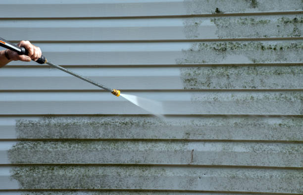 Best Driveway Cleaning and Restoration in Mcqueeney, TX